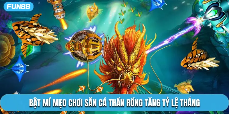 Bật mí mẹo chơi săn cá thần rồng tăng tỷ lệ thắng