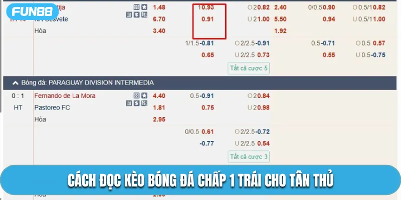 Cách đọc kèo bóng đá chấp 1 trái cho tân thủ