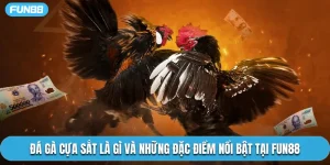 Đá Gà Cựa Sắt Là Gì Và Những Đặc Điểm Nổi Bật Tại Fun88
