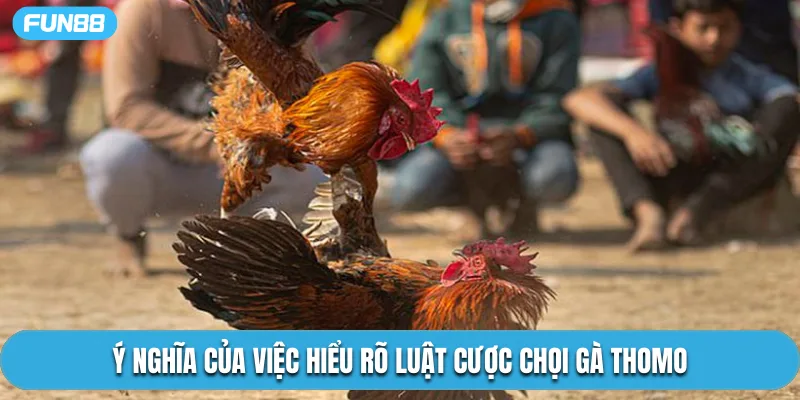Ý nghĩa của việc hiểu rõ luật cược chọi gà Thomo